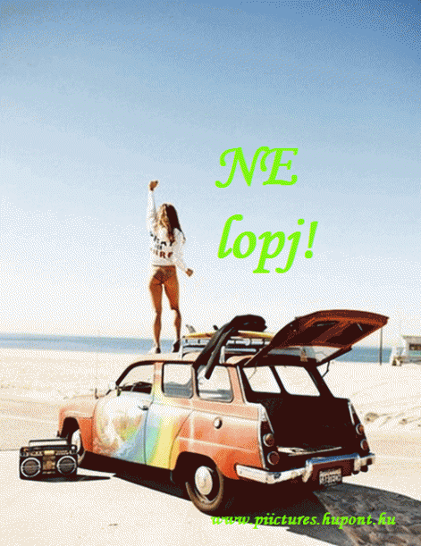 1175863223.gif